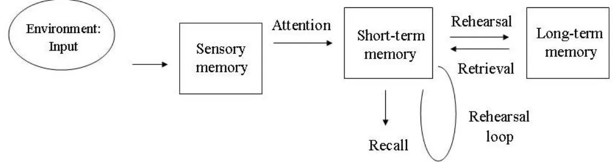 Figure 1 The multistore model of memory (Atkinson &amp; Shiffrin, 1968).   