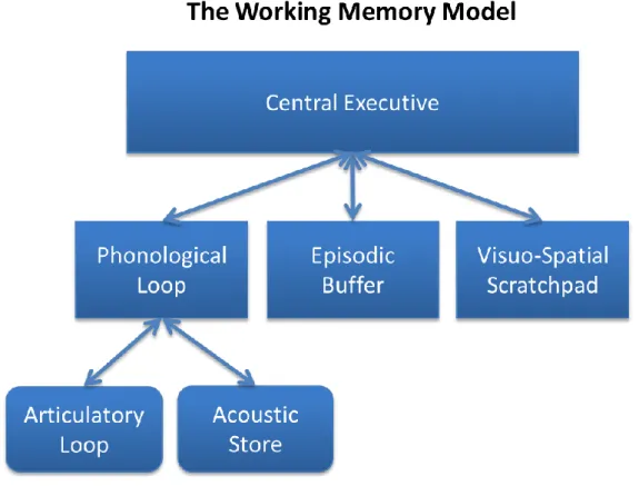 Figure 2 The Working memory model by Baddeley and Hitch (1974)  Source: Cheese360, URL: 