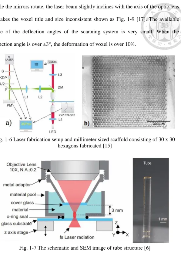 Fig. 1-6 Laser fabrication setup and millimeter sized scaffold consisting of 30 x 30  hexagons fabricated [15] 