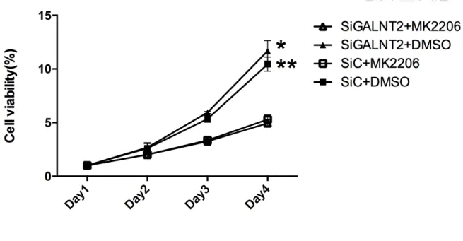 Figure 8. Inhibition of Akt phosphorylation decreased cell viability. After 
