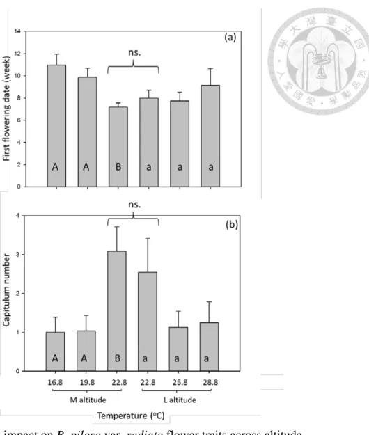 Fig. 4 Warming impact on B. pilosa var. radiata flower traits across altitude 