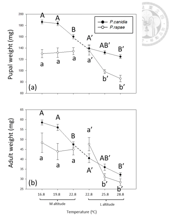 Fig. 6 Warming impact on Pieris weight at each life stage across altitude 