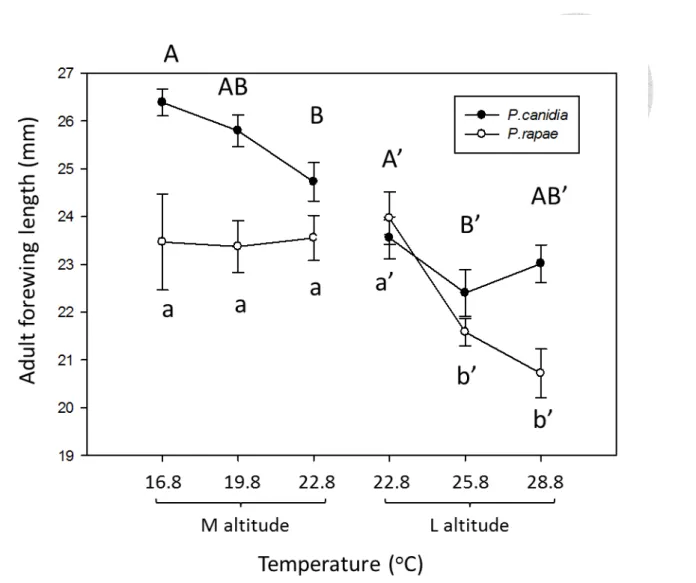Fig. 8 Warming impact on Pieris forewing length across altitude   