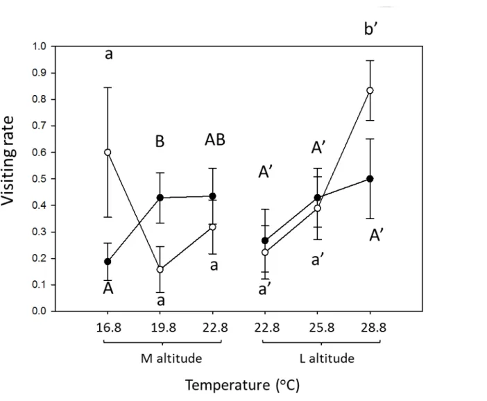 Fig. 9 Warming impact on flower-visiting rate of Pieris on B. pilosa across altitude    Pollinators from medium and low altitude were reared in three temperature treatments  (control, 3 o C warming and 6  o C warming)