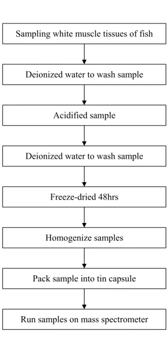 Fig. 7. The flow chart for stable isotope analysis in this study 