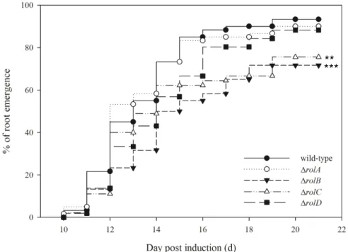 Figure 3-3 The day of the first root emergence post infection (DREPI). Every  main vein of leaf were cut into five 1 cm 2  squares, and they were injected 0.4 μl of A