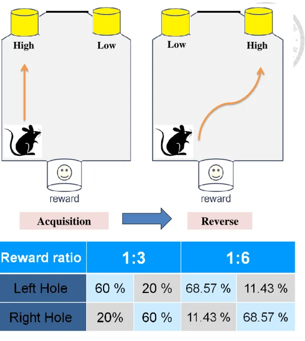 Figure 2. 2. The procedure of the 2-choice dynamic foraging task. 