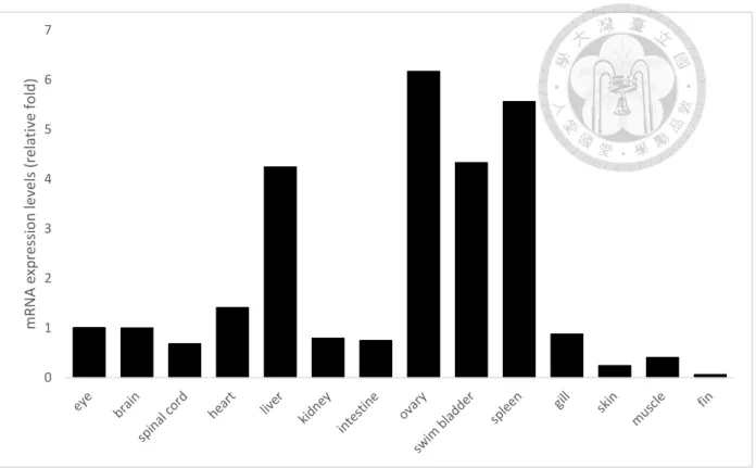 Figure 4. Spatial expression patterns of CRT in adult fish.   