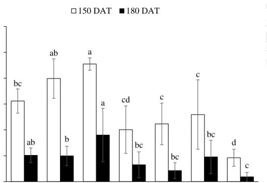 Fig. 7. Effects of different fertilizer treatments on inorganic nitrogen concentration of  soil  at  150  and  180  DAT