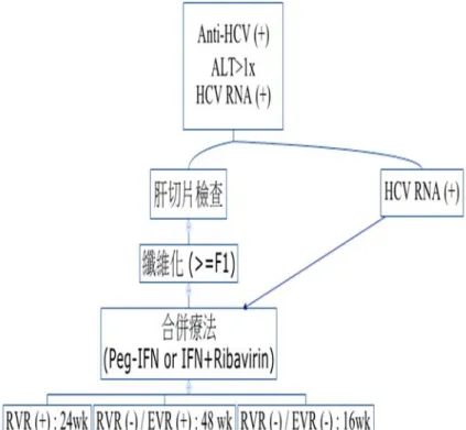 圖  二 2009 年 11 月之後 C 型肝治療炎健保給付流程 
