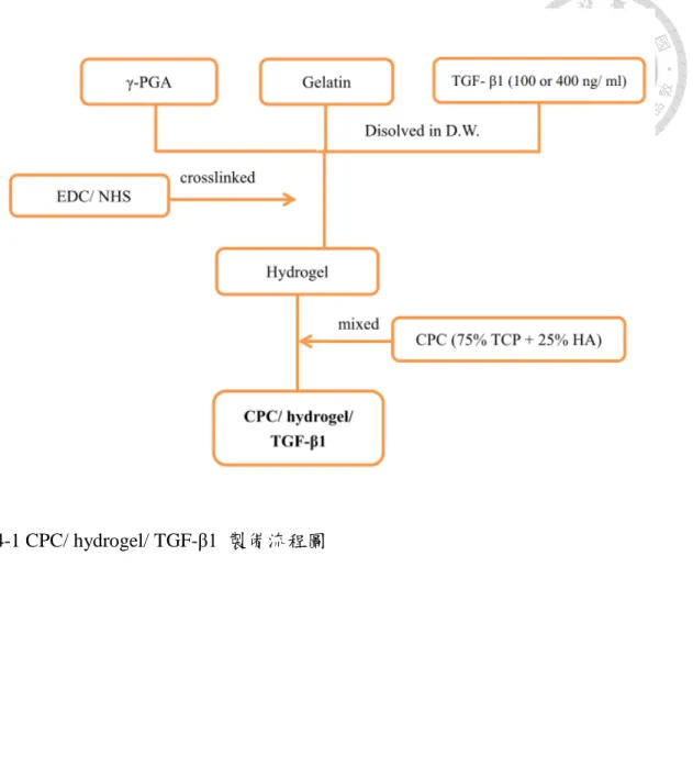 圖  4-1 CPC/ hydrogel/ TGF- β1  製備流程圖 
