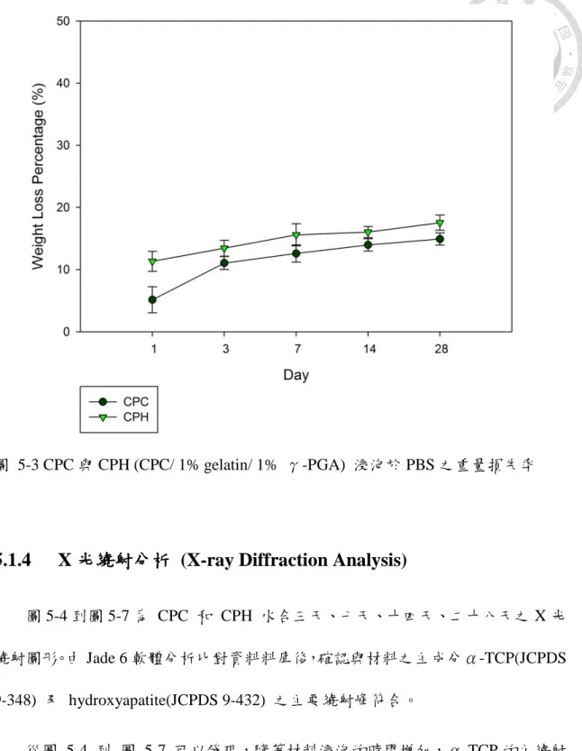 圖  5-3 CPC 與 CPH (CPC/ 1% gelatin/ 1%  γ-PGA)  浸泡於 PBS 之重量損失率 