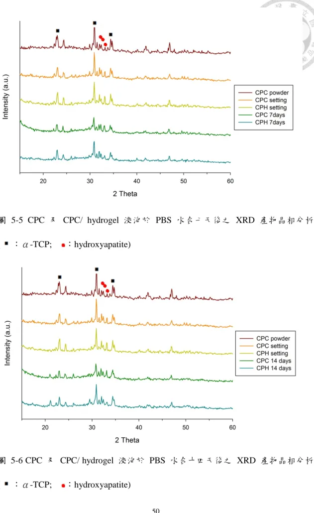 圖  5-5 CPC 及  CPC/  hydrogel  浸泡於  PBS  水合七天後之  XRD  產物晶相分析 ( ：α-TCP;   ：hydroxyapatite)