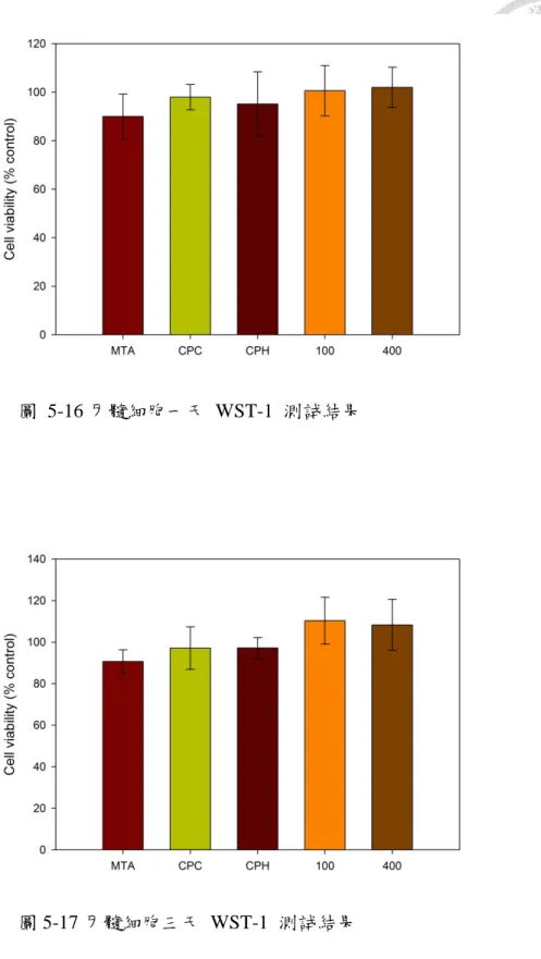 圖  5-16 牙髓細胞一天  WST-1  測試結果 