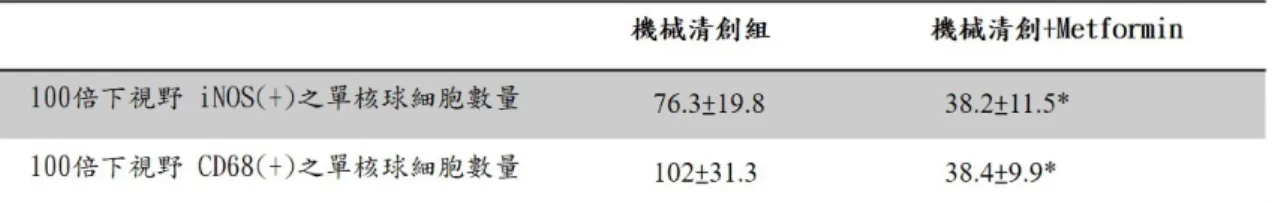 表 一 免疫組織染色之細胞數量 