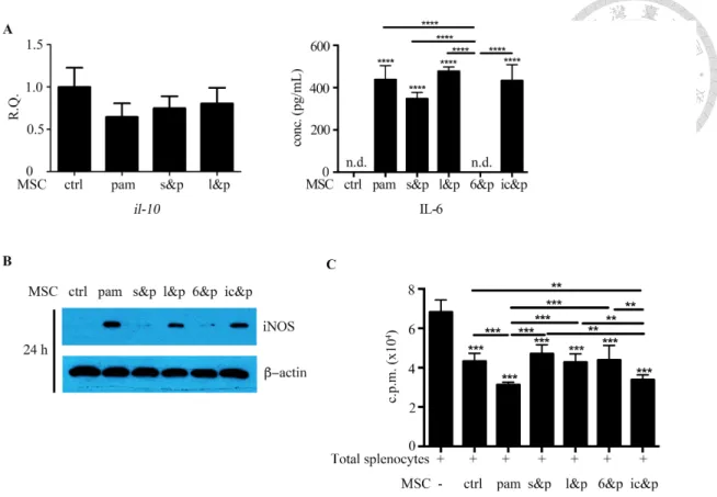 Fig 22. IL-6 Mediated NF-κB/STAT3 signaling in Mpam 