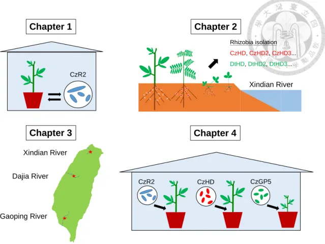 Figure C. Illustration of the context of the four main chapters in this dissertation. 