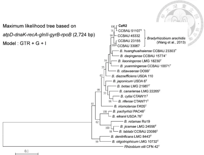 Figure  1-2  Phylogeny  of  strain  CzR2  based  on  the  six  housekeeping  genes. 