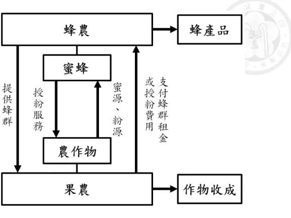 圖 2-1  蜂農與果農之間授粉服務市場概念圖  以人工方式養育蜜蜂，專業的養蜂用具是必須的，其中最為重要的即是蜂箱 及巢礎，蜂箱為提供蜜蜂休息及儲存食物的場所，材質一般以木頭為主，然因蜂 箱需耐長時間的日曬雨淋，所以市面上亦有保麗龍、塑木等材質之蜂箱，一個標 準蜂箱通常可放置 8 至 10 個巢框，巢框中則設有人造巢礎，圖 2-2 即為西洋蜜蜂 巢框之照片。而蜂箱依功能還能再區分為繼箱及交尾箱，前者即在標準蜂箱上再 疊加之箱體，可用於組建雙王群，或於採蜜期間利用蜜蜂向上貯蜜之特性增加產 蜜量（吳登楨、張世