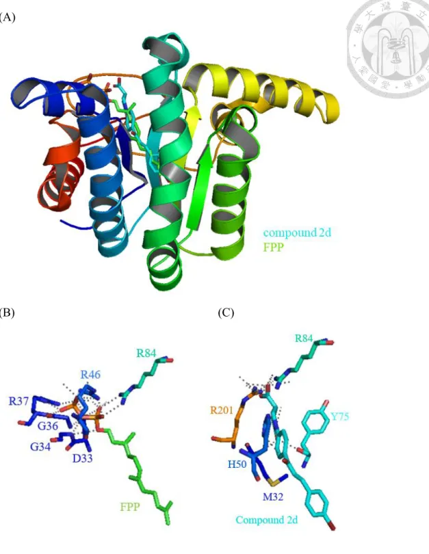 Figure 10. Docking of compound 2d in SaUPPS with FPP.   