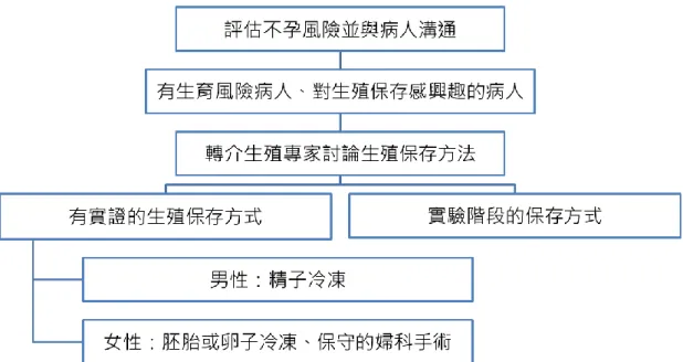 圖  2  生殖保存諮詢流程建議 
