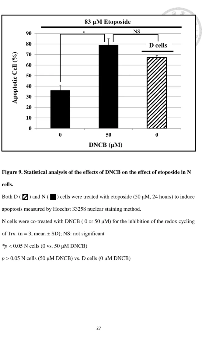Figure 9. Statistical analysis of the effects of DNCB on the effect of etoposide in N  cells