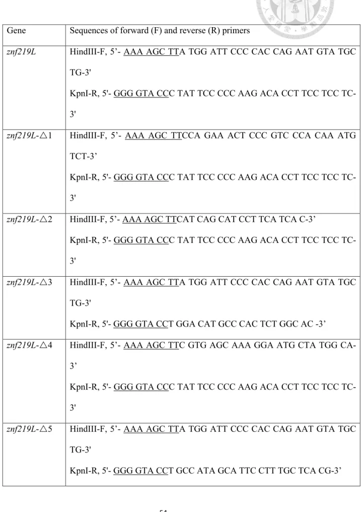 Table 1. Primers used for PCR amplification of cDNA encoding full-length and  deletion mutations of zebrafish znf219L