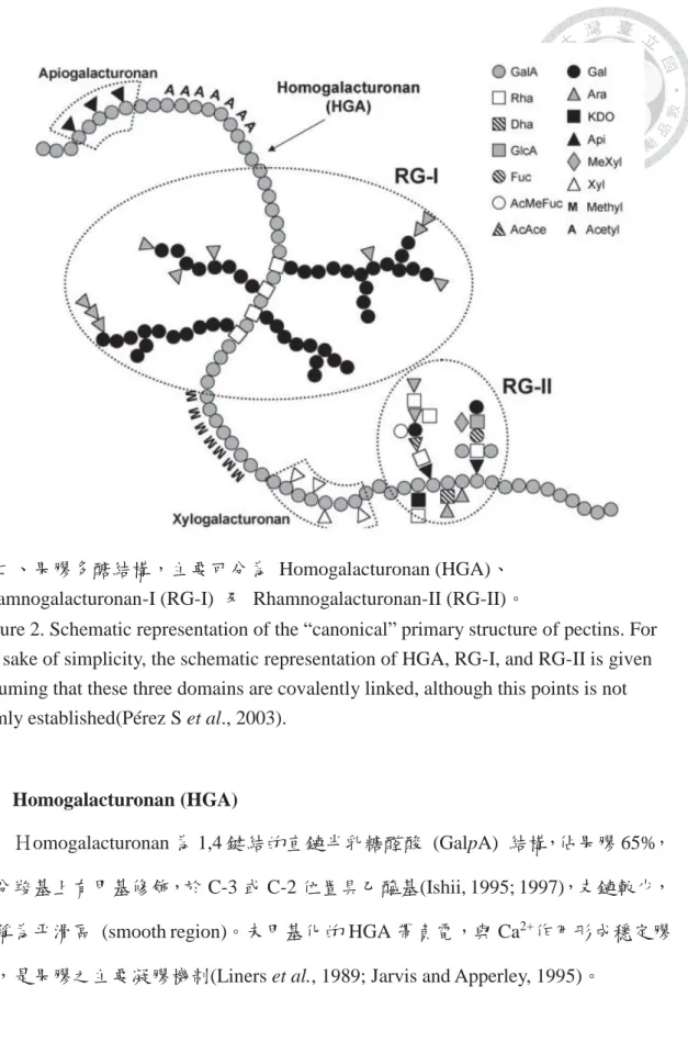 Figure 2. Schematic representation of the “canonical” primary structure of pectins. For  the sake of simplicity, the schematic representation of HGA, RG-I, and RG-II is given  assuming that these three domains are covalently linked, although this points is