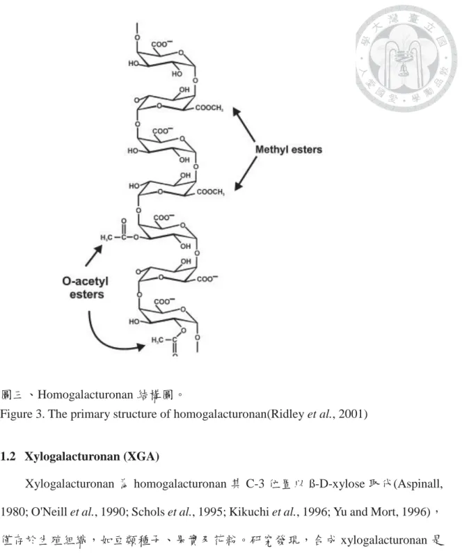 Figure 3. The primary structure of homogalacturonan(Ridley et al., 2001)