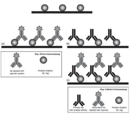 Figure 11. Direct and indirect immunoassay. In a direct assay (a), analyte (hapten, Ab,  Ag) is bound to a solid support (i.e., bead or microplate)