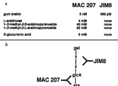 Figure 13. Monosaccharide components of carbohydrate epitopes. The binding 