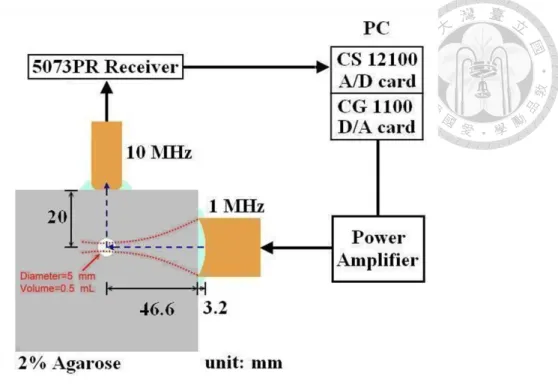 Fig. 2. Setup for acoustic cavitation measurements. 