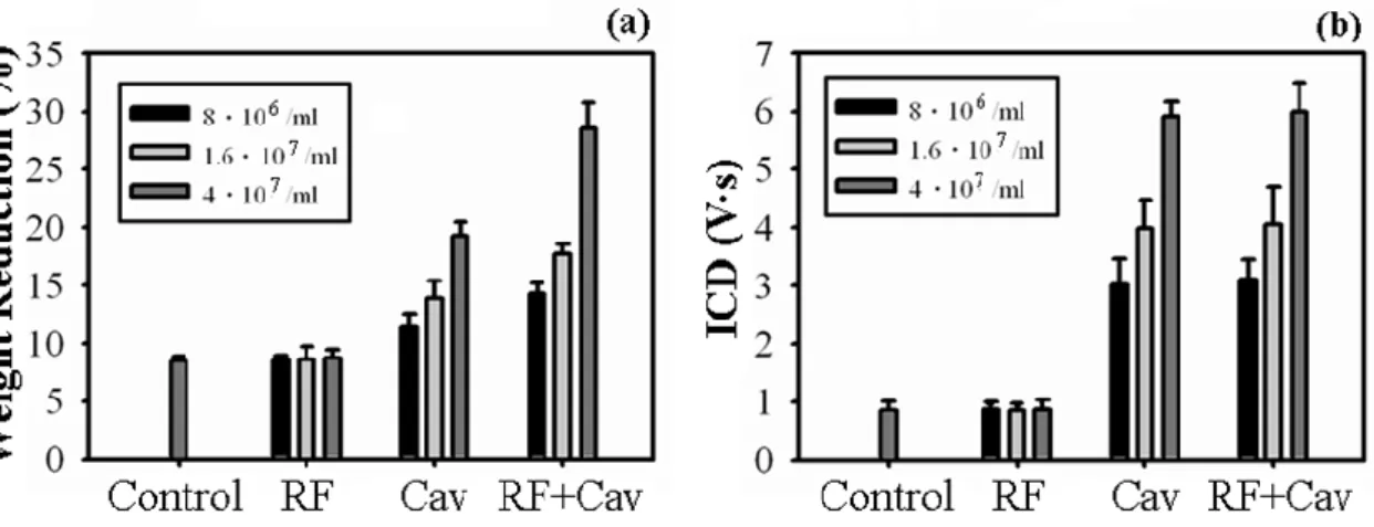 Fig. 9. Effects of radiation forces (RF), cavitation, and radiation forces combined with cavitation 
