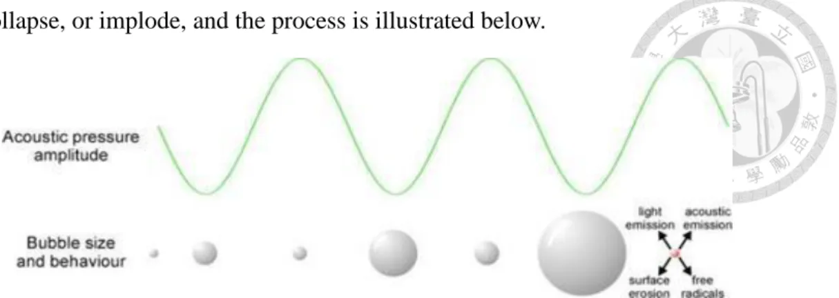 Figure 1. Bubble behavior under acoustic exposure. 