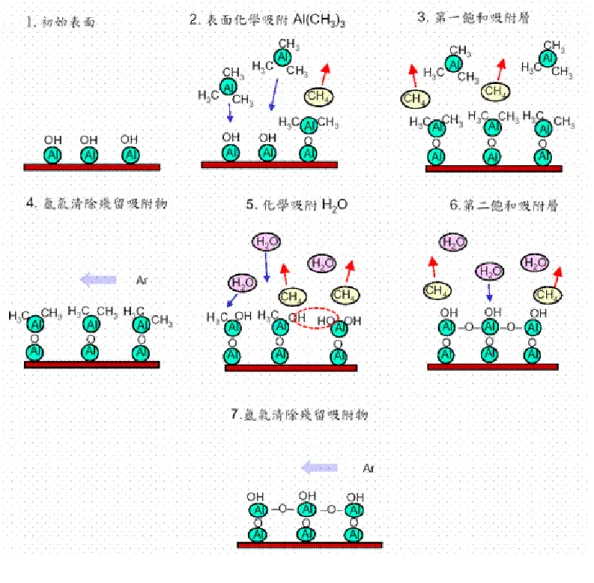 圖  2.15  利用 ALD 沉積 Al 2 O 3 之成膜原理[30] 