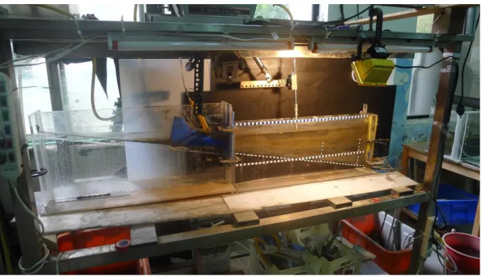Figure 3-1. Photo and sketch of small-scale laboratory experiment tank. 