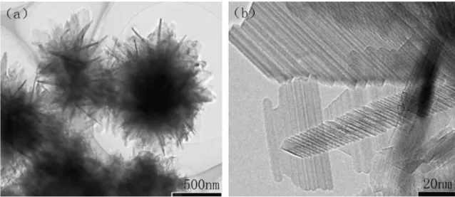 Figure 2-9 TEM micrographs of as-prepared LTO [30]. 