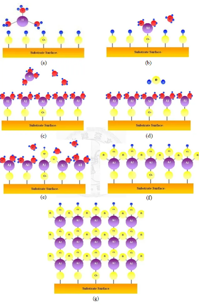 Fig. 2.14  The Al 2 O 3  layer forming process sequence. 