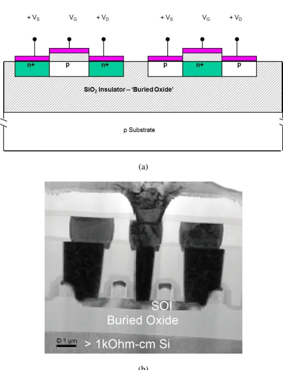 圖  1.4  SOI 金氧半電晶體(SOI CMOS)元件(a)剖面圖(cross-section)，(b)TEM 剖面圖(cross-section) 