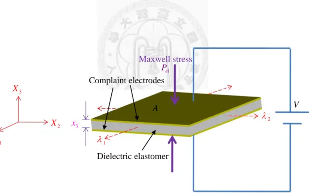 Figure  2–4.  A  schematic  diagram  of  the  dielectric  elastomer  model  with  a  compliant  electrode, shows the dimension, stretch and Maxwell stress 