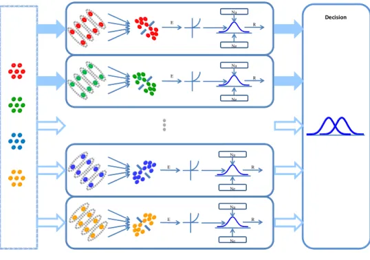 Figure 1.2. Diagram of the chromatic symmetry detection model. See text for details. 