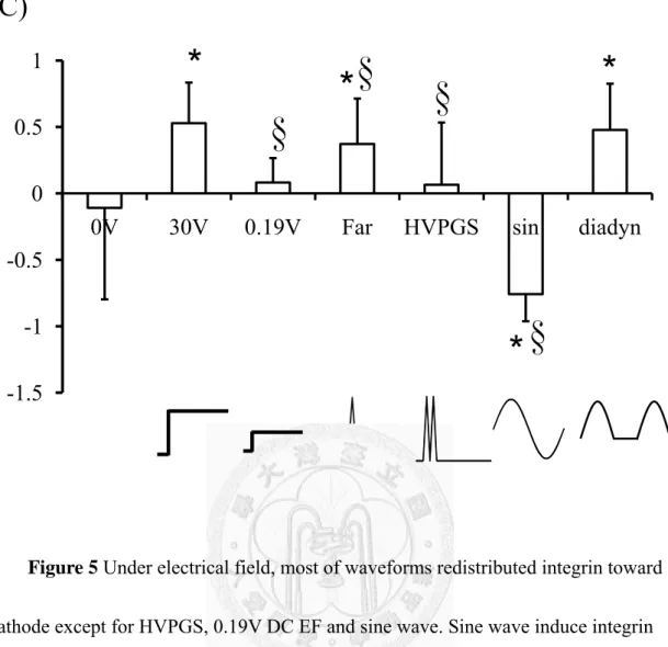 Figure 5 Under electrical field, most of waveforms redistributed integrin toward  cathode except for HVPGS, 0.19V DC EF and sine wave