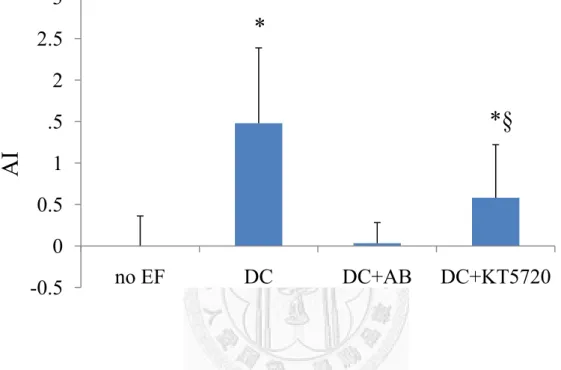 Figure 10 For 1hr exposure to 30V DC EF, the RhoA redistributed toward  cathode, furthermore, inhibition of RhoA activation had a similar effect on RhoA  redistribution in applied EF, but anti-integrin antibody treatment caused RhoA  distribute randomly