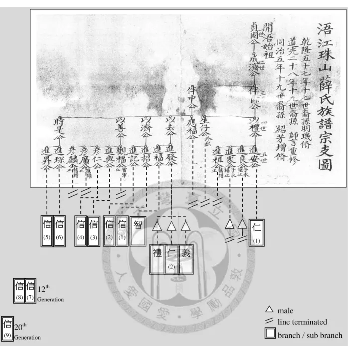 圖 2- 7《金門薛氏族譜》五房分支關係圖  資料來源：1866 年《族譜》宗支圖第一部份；本研究加註 仁(1)義禮 仁(2)信智(2) 信(1) 信(4) 信(3) 信(5) 信(6) 信(8) 信(7) 信(9) 12thGeneration20thGeneration male  line terminated branch / sub branch
