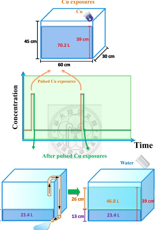 Figure 4.2. Changes of Cu concentration to achieve the sequential pulsed  exposure.  