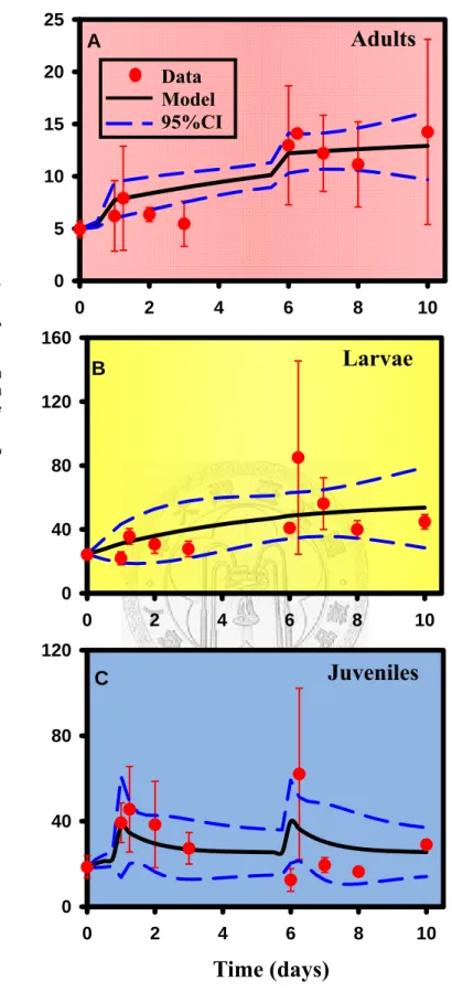 Figure 5.1. Best-fitting regression curves of acute Cu accumulation to (A) adult,  (B) larval, and (C) juvenile tilapia from first-order bioaccumulation model