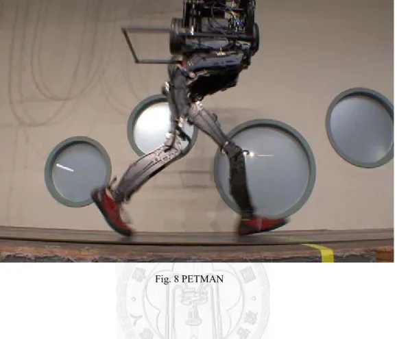 Fig. 8 PETMAN 
