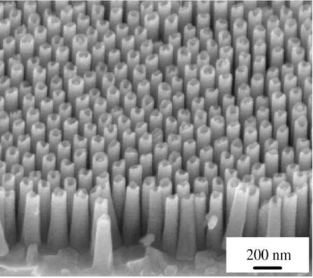 Fig. 1-9 Silicon nanopillar array fabricated by nano particles and reactive ion etching  [17]