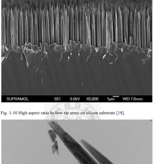 Fig. 1-10 High aspect ratio hollow-tip array on silicon substrate [18]. 
