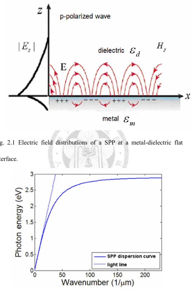 Fig.  2.1  Electric  field  distributions  of  a  SPP  at  a  metal-dielectric  flat  interface
